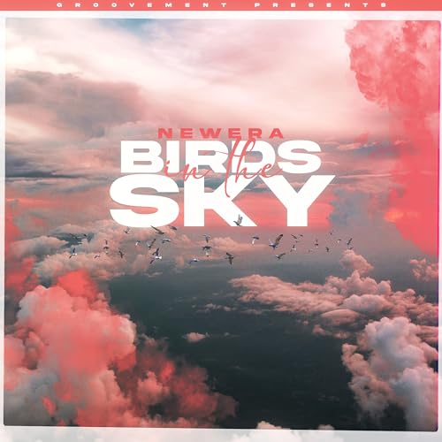 Birds In The Sky / NewEra